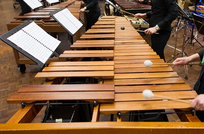 Budelse slagwerkers Nederlands kampioen