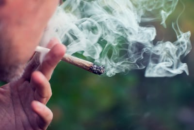 ‘Ik dacht dat een beetje blowen mocht’, verklaart aangehouden bestuurder van busje in Best