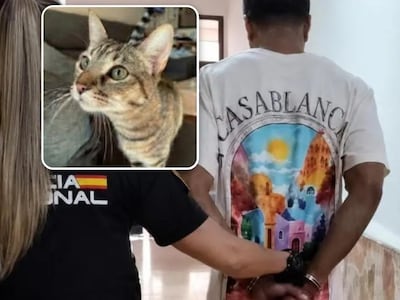 Spaanse rechter zet dierenbeul het land uit na bru