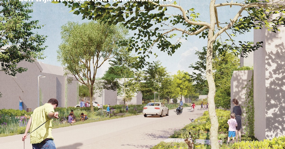 Impressie van een woon/leefstraat in Nieuw Brandevoort. © Gemeente Helmond
