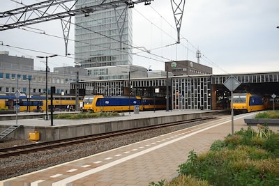 Defect spoor zorgt voor minder intercity’s tussen Den Bosch en Eindhoven