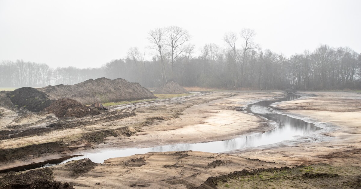 Nieuw broekbos in Leenderstrijp
