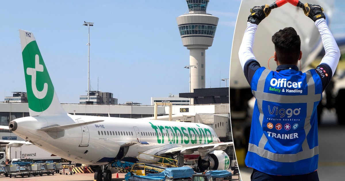 Eindhovense afhandelaar Viggo overleeft kaalslag op Schiphol en wint cruciale aanbesteding