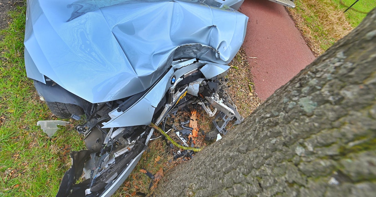 Vrouw botst met auto op hoge snelheid tegen boom in Luyksgestel, stapt zelf uit voertuig