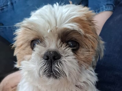 Max zoekt een soulmate om samen op de bank te hangen