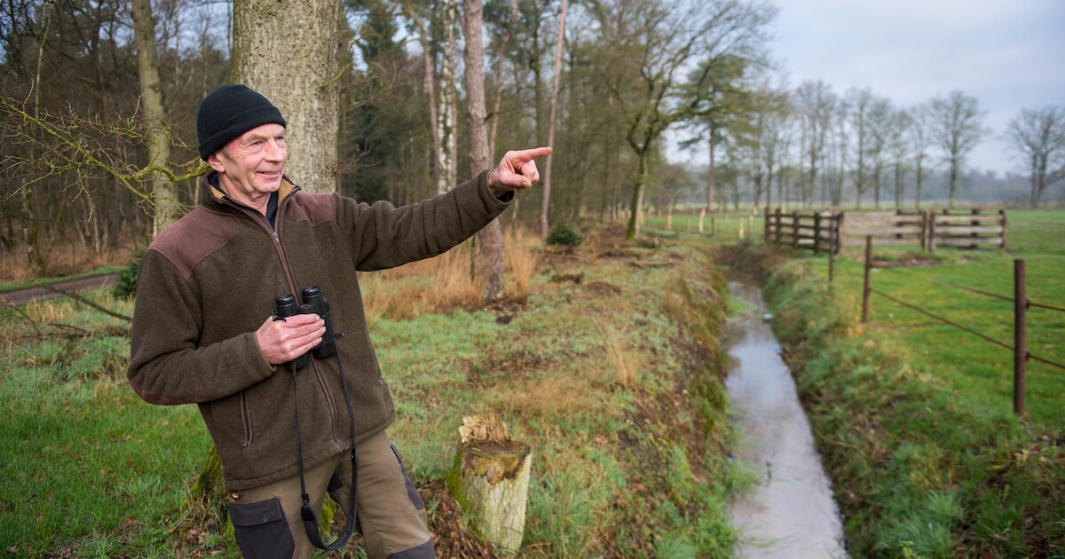 Het loopt storm bij de reeënwandeling van Bert in Lage Mierde