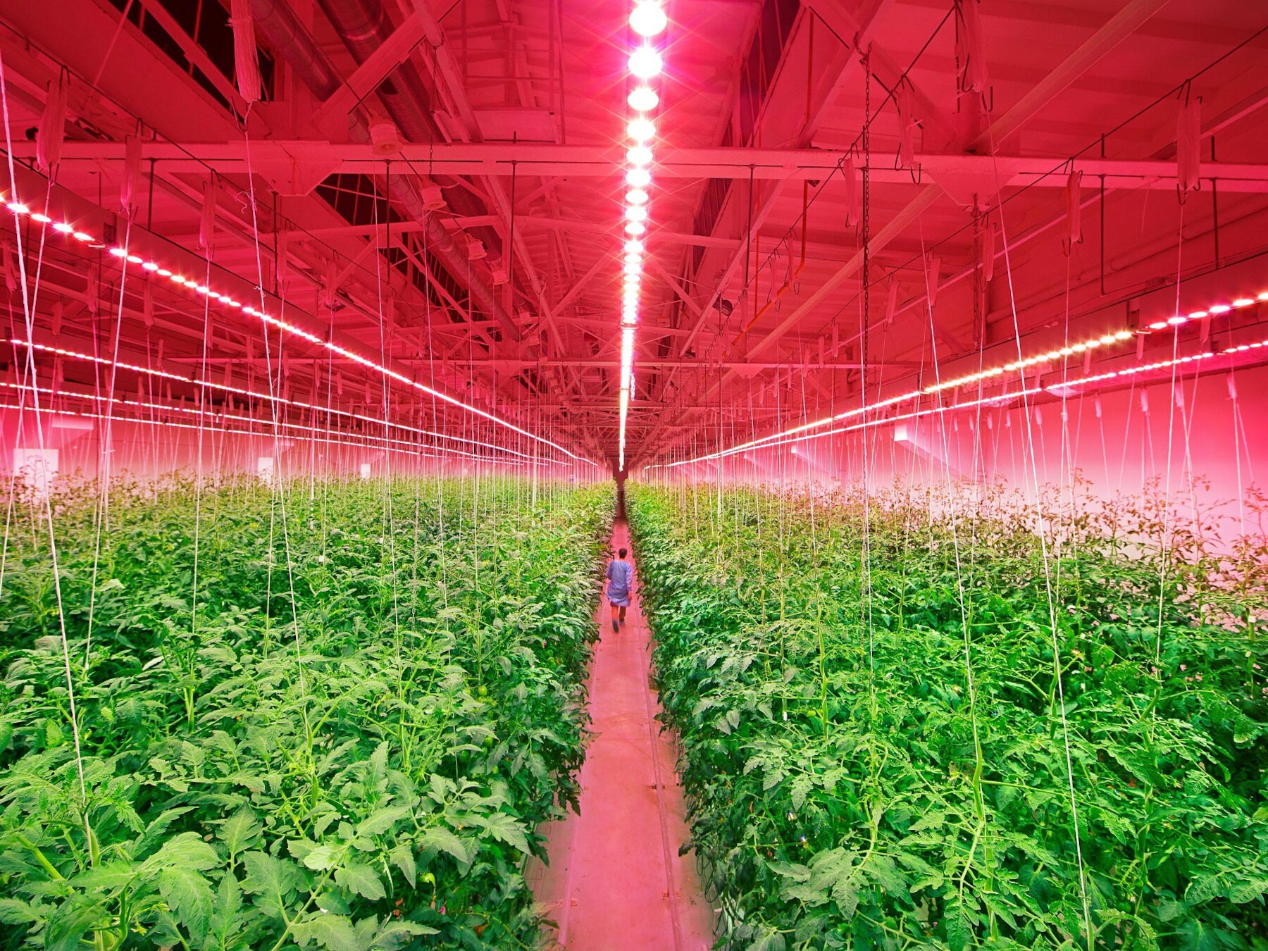 Komkommerkweker in de Peel kan werk maken van bedden voor zijn arbeidsmigranten