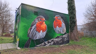 Roodborstjes, vlinder en eend geven kleur aan Genderpark in donkere dagen