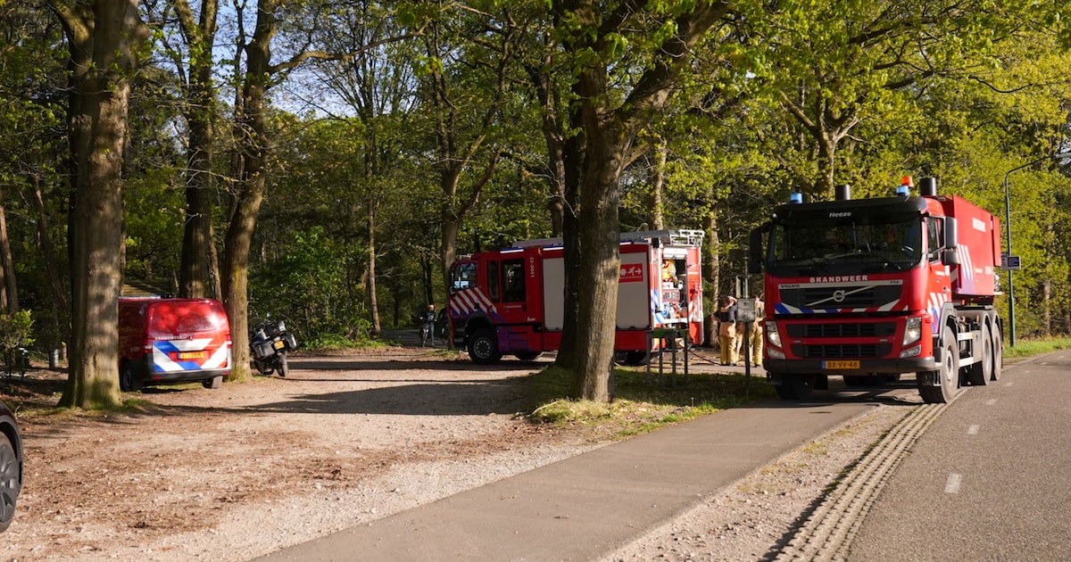 Brand uitgebroken aan rand van bos bij Sterksel: vuur snel onder controle