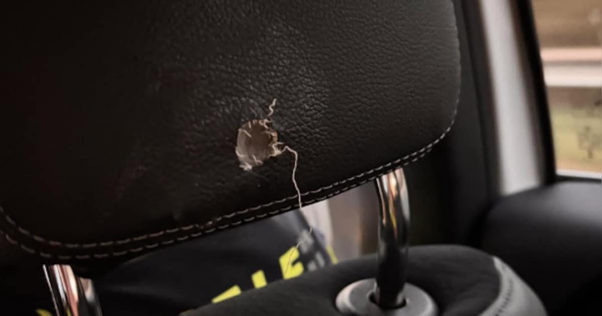 Man (26) geeft agent kopstoot en zet tanden in hoofdsteun van politieauto | 112 nieuws Heeze-Leende