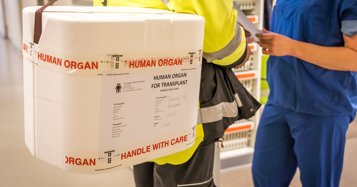 Aantal orgaandonoren in Son en Breugel afgelopen jaar gestegen