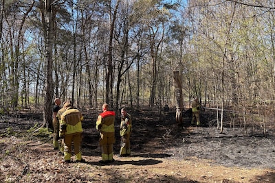 Brandweer uitgerukt voor natuurbrand in Tilburg