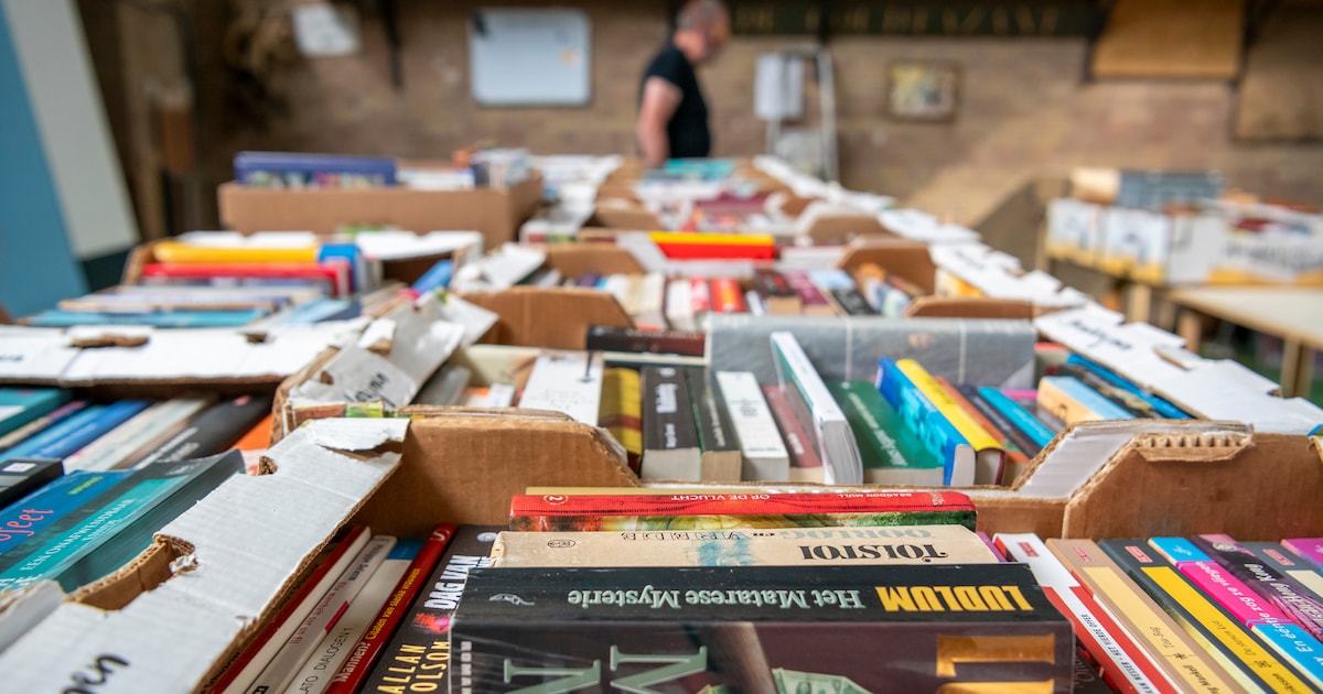 Boekenmarkt in Bibliotheek Geldrop: koop tweedehands boeken