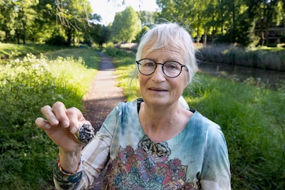 Mieke schrikt van ‘giftige steentjes’ op wandelpaden en trekt aan de bel: ‘Hier lopen ook kleine kinderen en honden’