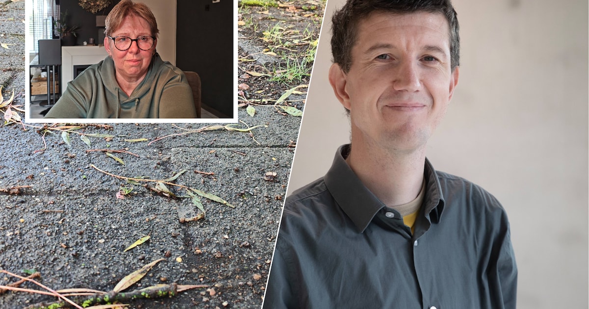 Deze week in Koolhof: hindernissenbaan Maassingel