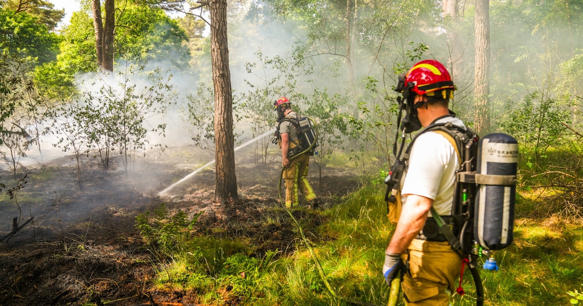Grote natuurbrand op defensieterrein Budel onder controle, pannetje gevonden in bos