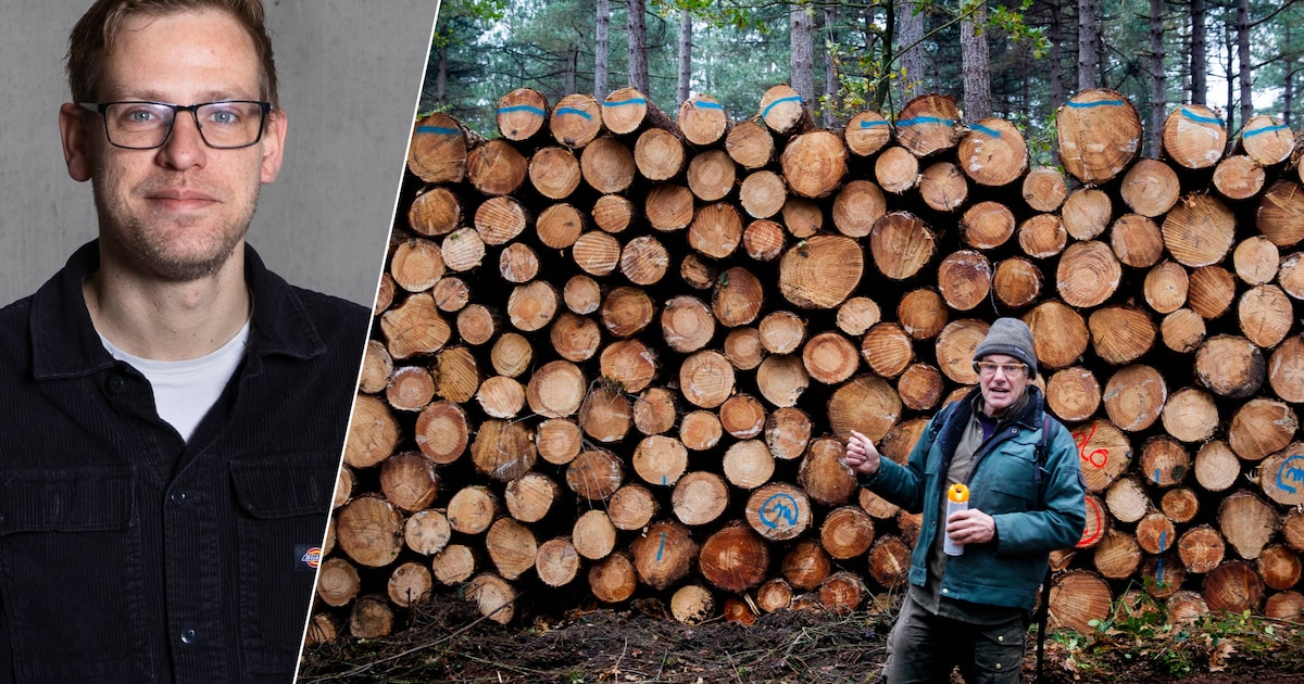 Van de redactie: Sonse zussen starten eigen horecazaak en hoe ging het bosbeheer?