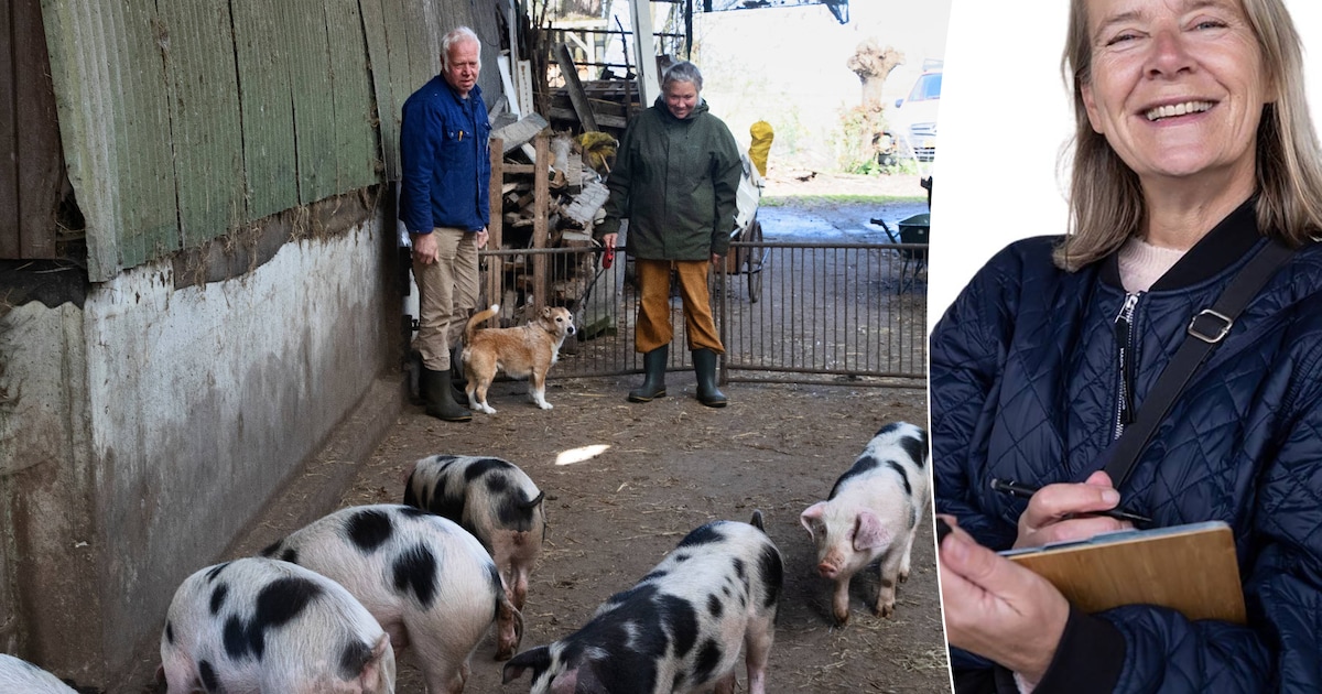 Elke koe of varken verdient een boer Peter, een boer die van ze houdt