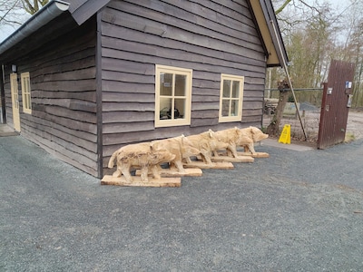 Staalslakken bij preHistorisch Dorp toch verwijderd: ‘We konden werkzaamheden combineren’
