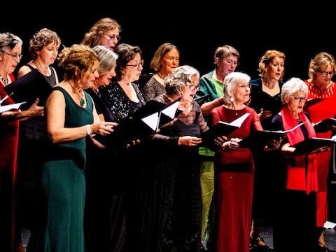 Van jongerenkoor tot beestenfeest: uitstapje koor Korale naar Helmonds zang-‘Mekka’