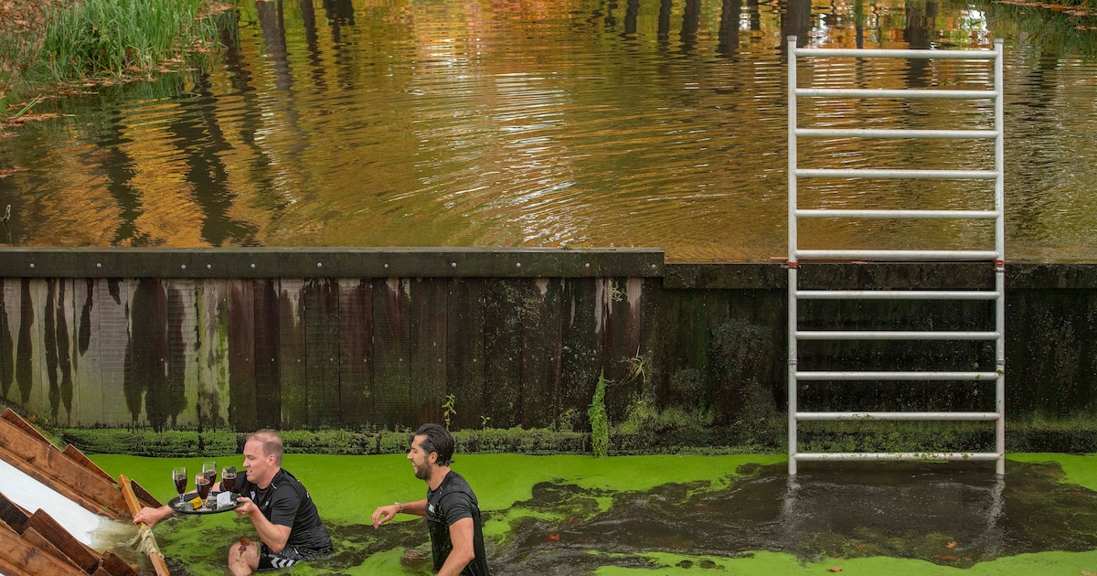 Al 25 edities klauteren en kruipen met een dienblad op WK Bokkenollen in Griendtsveen