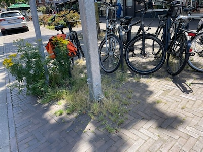 ‘De Kruisstraat leegvegen kan letterlijk en figuurlijk’