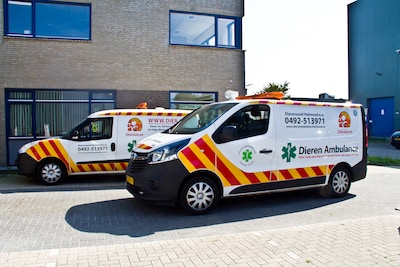 Helmond groeit en geeft huisdieren meer aandacht