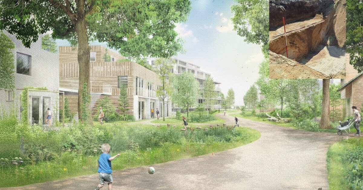 Eeuwenoude geschiedenis onder nieuwbouwhuizen in Eersel: ‘Vele gingen ...