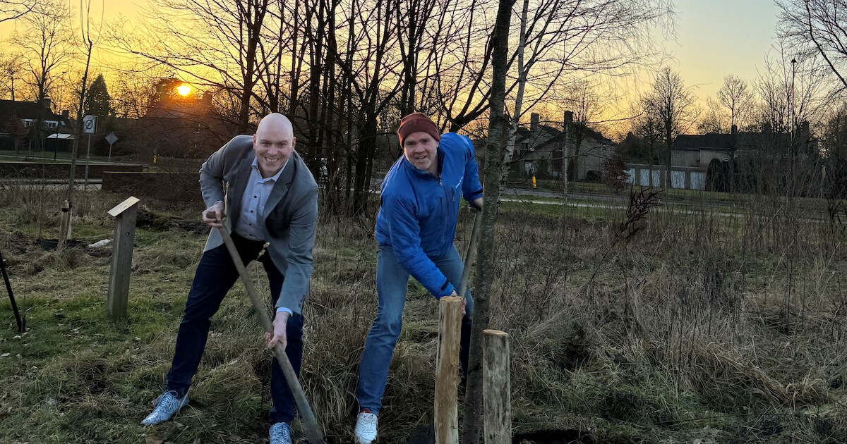 Duizenden bomen voor Asten van Trees for All, met dank aan ASML | Regio ...
