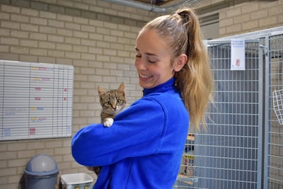 First Dates met kittens in Eindhoven: het was Kattendag bij dierenopvang ROZE