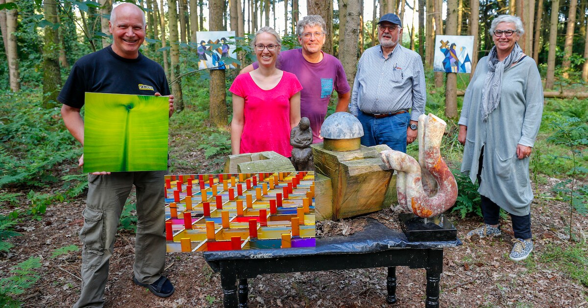 Kunst in alle vormen en maten in Wintelre | Regio | ED.nl