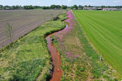 Gemert-Bakel mocht Esperloop verleggen, ook al is aspergeteler daardoor uitgestoken