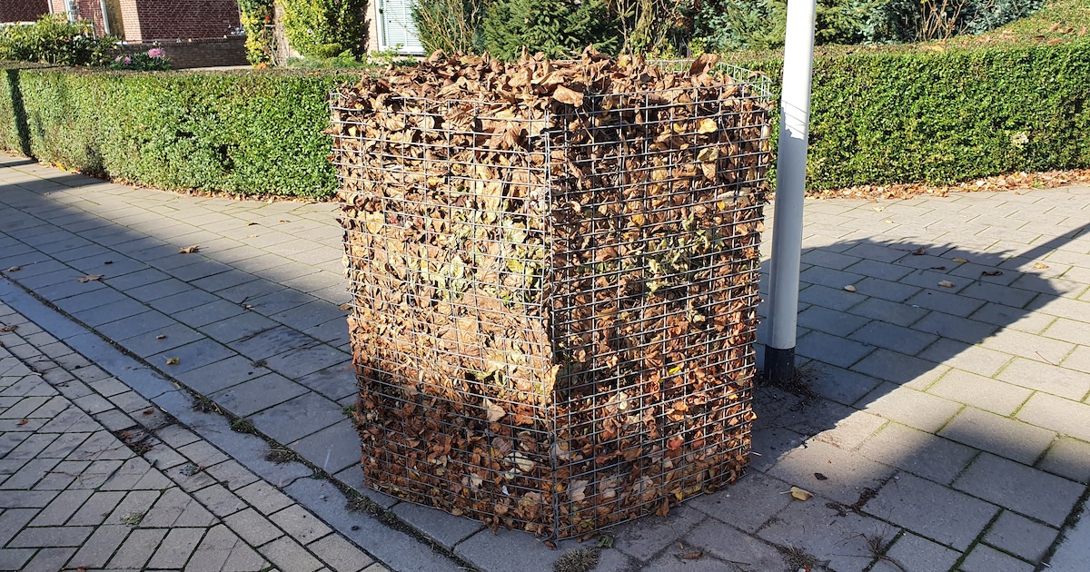 Veldhoven plaatst ruim driehonderd bladkorven voor herfstblad