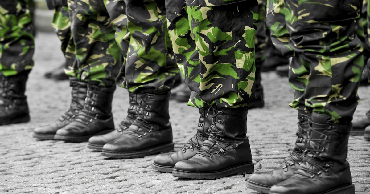 Militairen oefenen te voet en met voertuigen in de gemeente Cranendonck