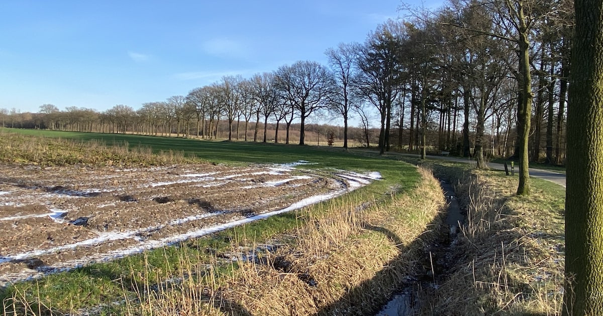 Plonie de Baar geeft in Mierlo lezing over droogte en klimaatverandering