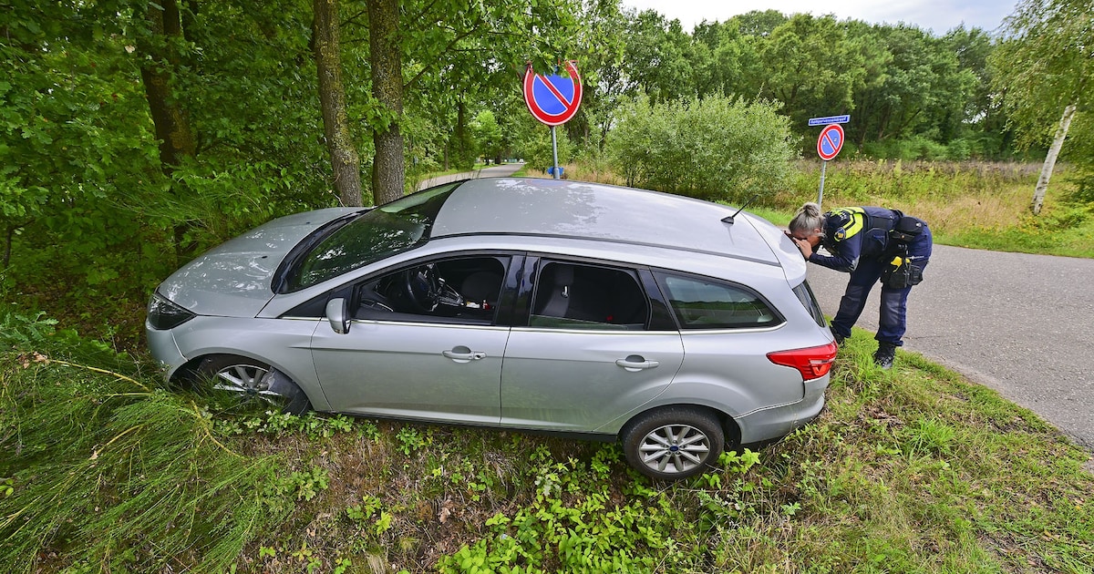 Automobilist rijdt tegen boom in Westerhoven en loopt weg, politie trekt taser bij aanhouding
