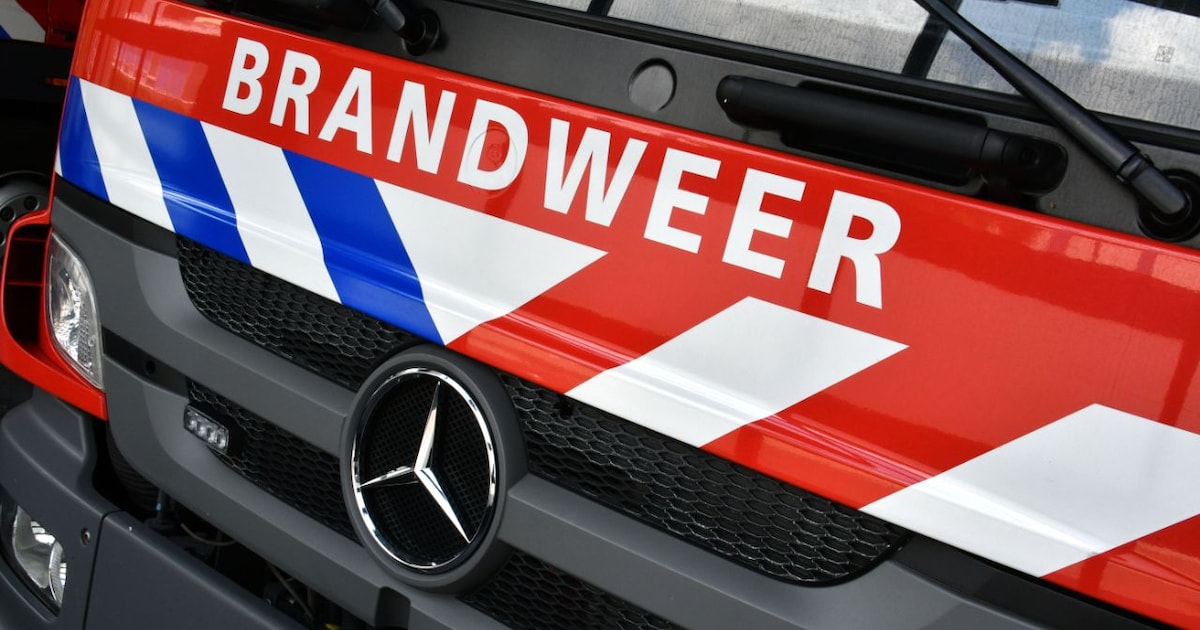 Grote natuurbrand op grens bij Reusel onder controle, ook Belgische brandweer ter plaatse