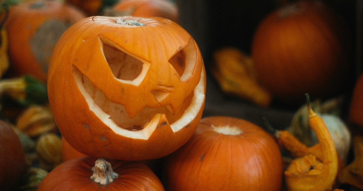 Nirwana in Lierop verandert in Halloweenwereld voor basisschoolkinderen