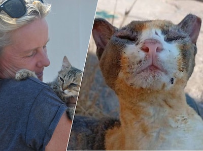 Sprankje hoop na brand bij dierenopvang Geldropse Irene van Klinken; inzameling loopt goed en een vermiste kat keert terug