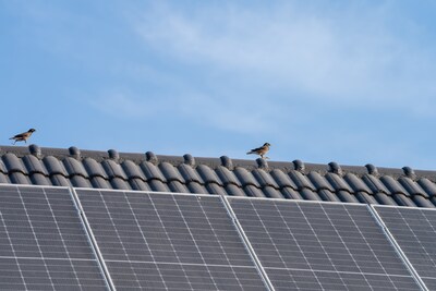 Energiecafé: zonnepanelen anno 2025, met thuisaccu en oplaadpunt?