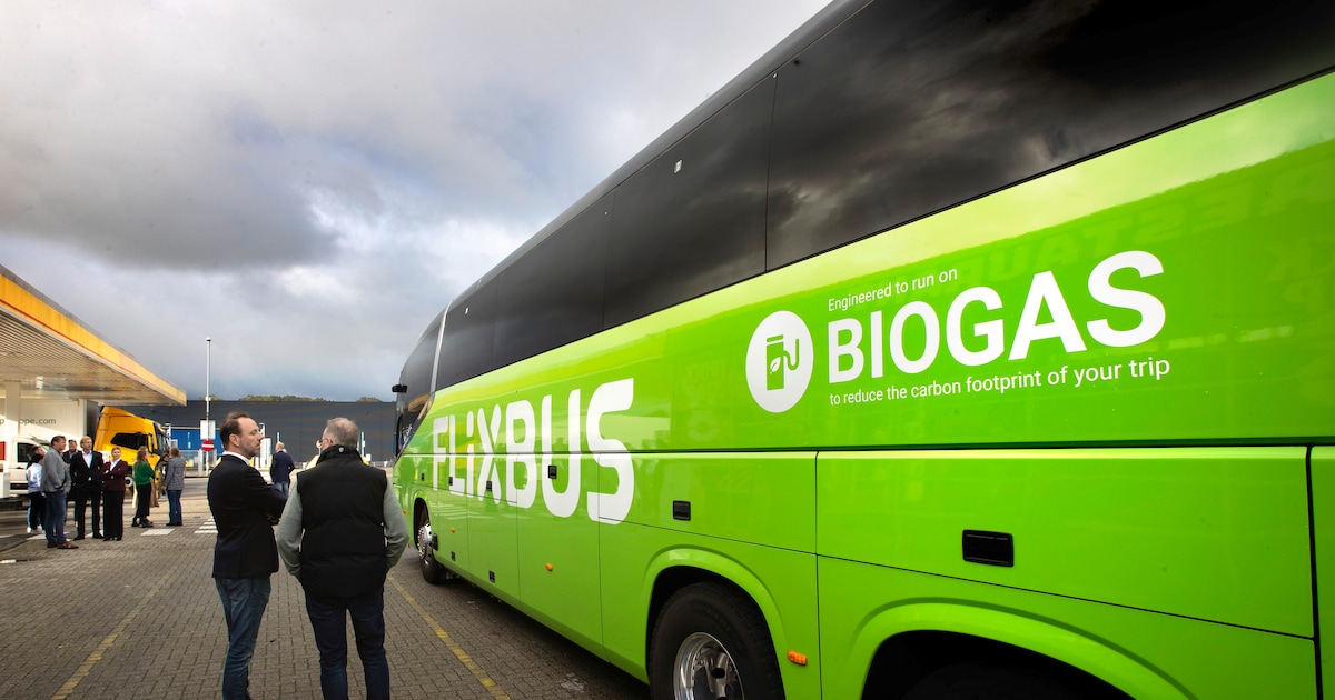 Flixbus wil nog schoner alternatief voor vliegen zijn; vijf nieuwe ...