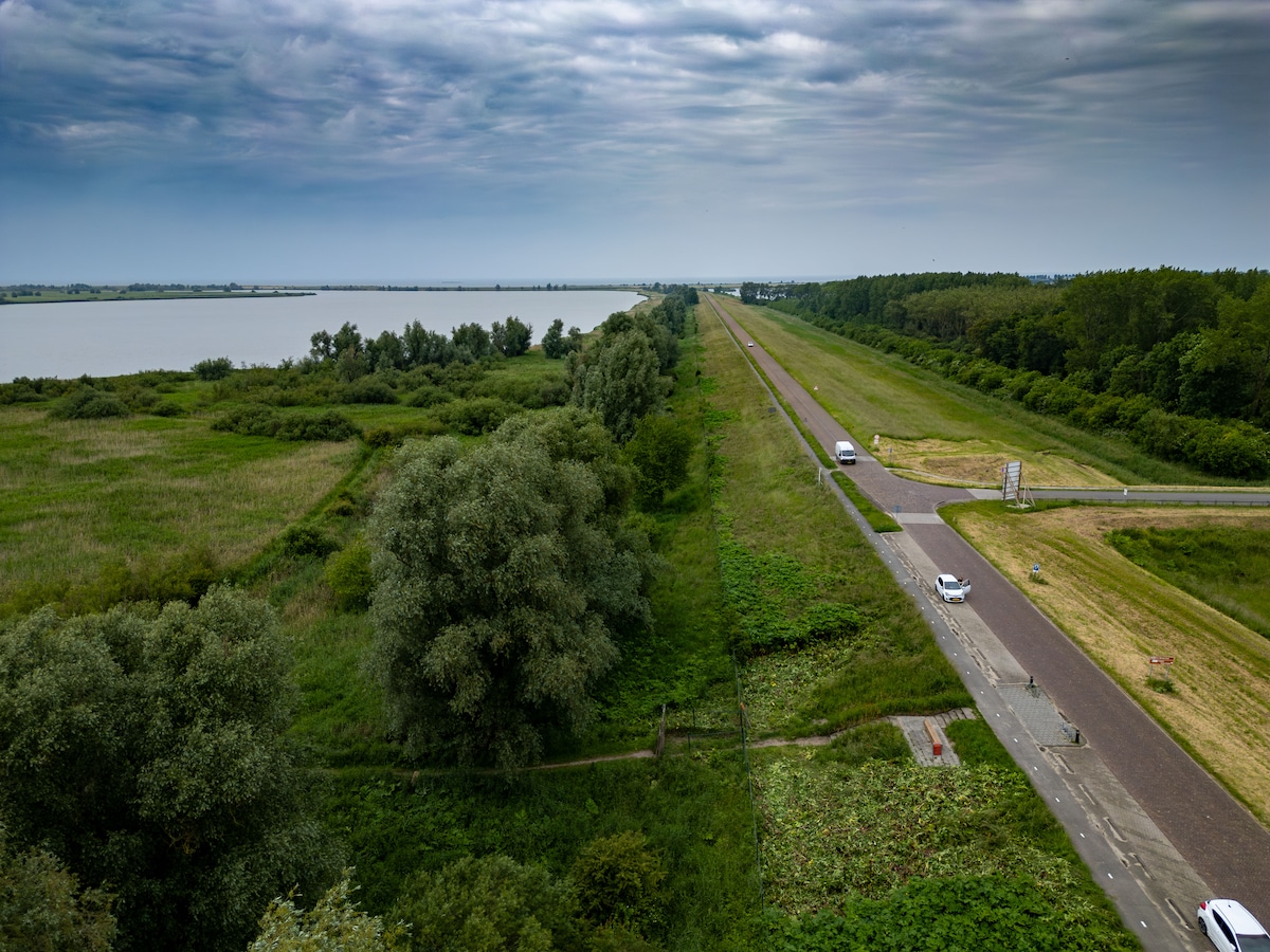 ryan-al-najjar-werd-gevonden-langs-de-knardijk-bij-lelystad-aan-de-rand-van-de-oostvaardersplassen