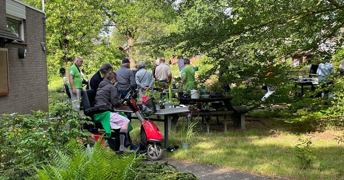 IVN Mierlo houdt stekjesmarkt voor tuin- en plantenliefhebbers