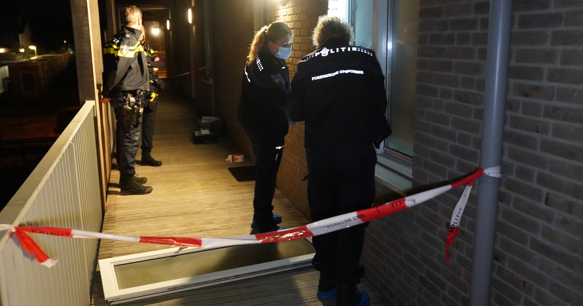 Woningoverval in Vlijmen: bewoner mishandeld door twee mannen | Regio | ED.nl