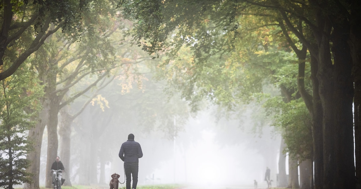 Wandelroutes Waalre tijdelijk niet beschikbaar door werkzaamheden