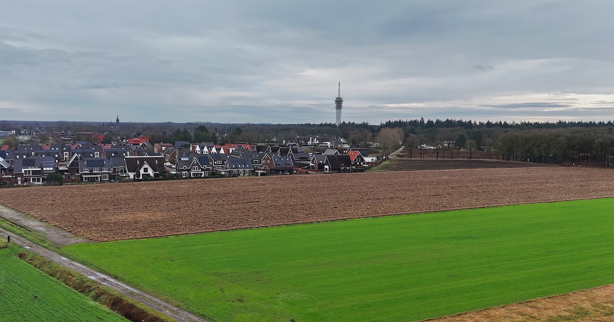 Woningbouw in Mierlose wijk Luchen in het nauw door das en wezel