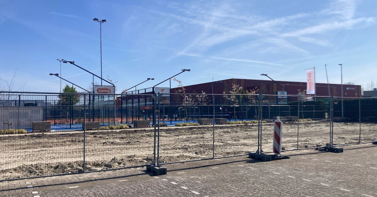 LTC De Zoom breidt uit met vier padelbanen: ‘Twee banen was te weinig’