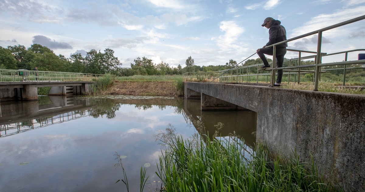 Geen verbod meer op water onttrekken uit beken en sloten - De Krant
