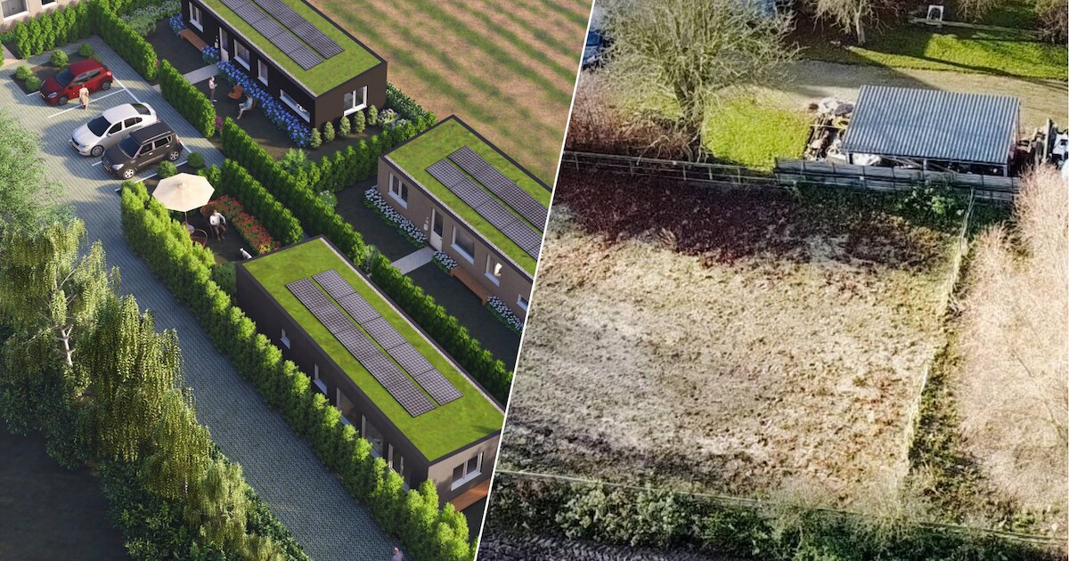 Helga en Danny zetten grond in voor tiny houses: ‘Meer inwoners zouden dit moeten doen’ | Brabant | 