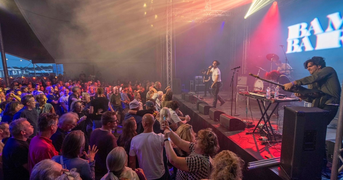 Nieuwe namen voor festival Misty Fields in Heusden